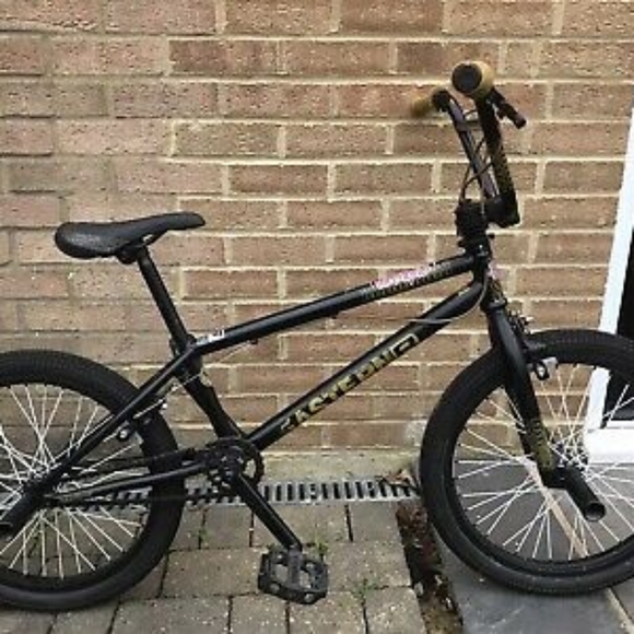 Meet your Posher, Studman - Picture 1 of 2